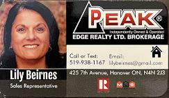 Lily Biernes realtor